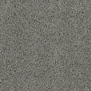 Dreamweaver Carpet Tracker Bayside Carpet 1524_956