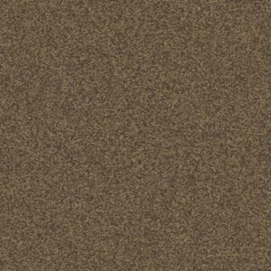 Mohawk Aladdin Commercial Major Factor Wood Carpet Tile 1Y13-858