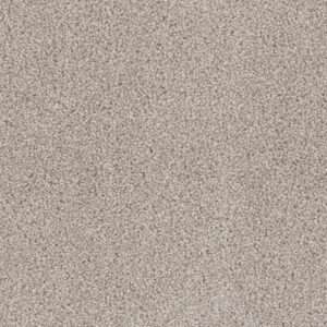 Dreamweaver Carpet Cedar Creek Cameo Carpet 2030_174