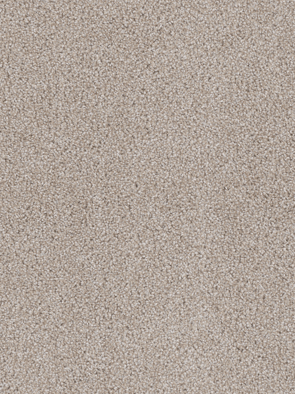 Dreamweaver Carpet Cedar Creek Cameo Carpet 2030_174