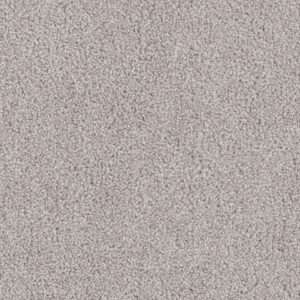 Dreamweaver Carpet Cedar Creek Clam Shell Carpet 2030_182