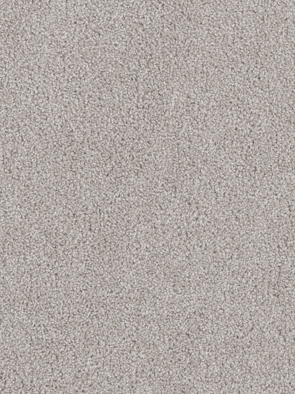 Dreamweaver Carpet Cedar Creek Clam Shell Carpet 2030_182