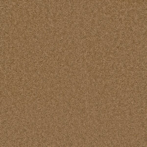 Dreamweaver Carpet Cedar Creek Honey Beige Carpet 2030_510