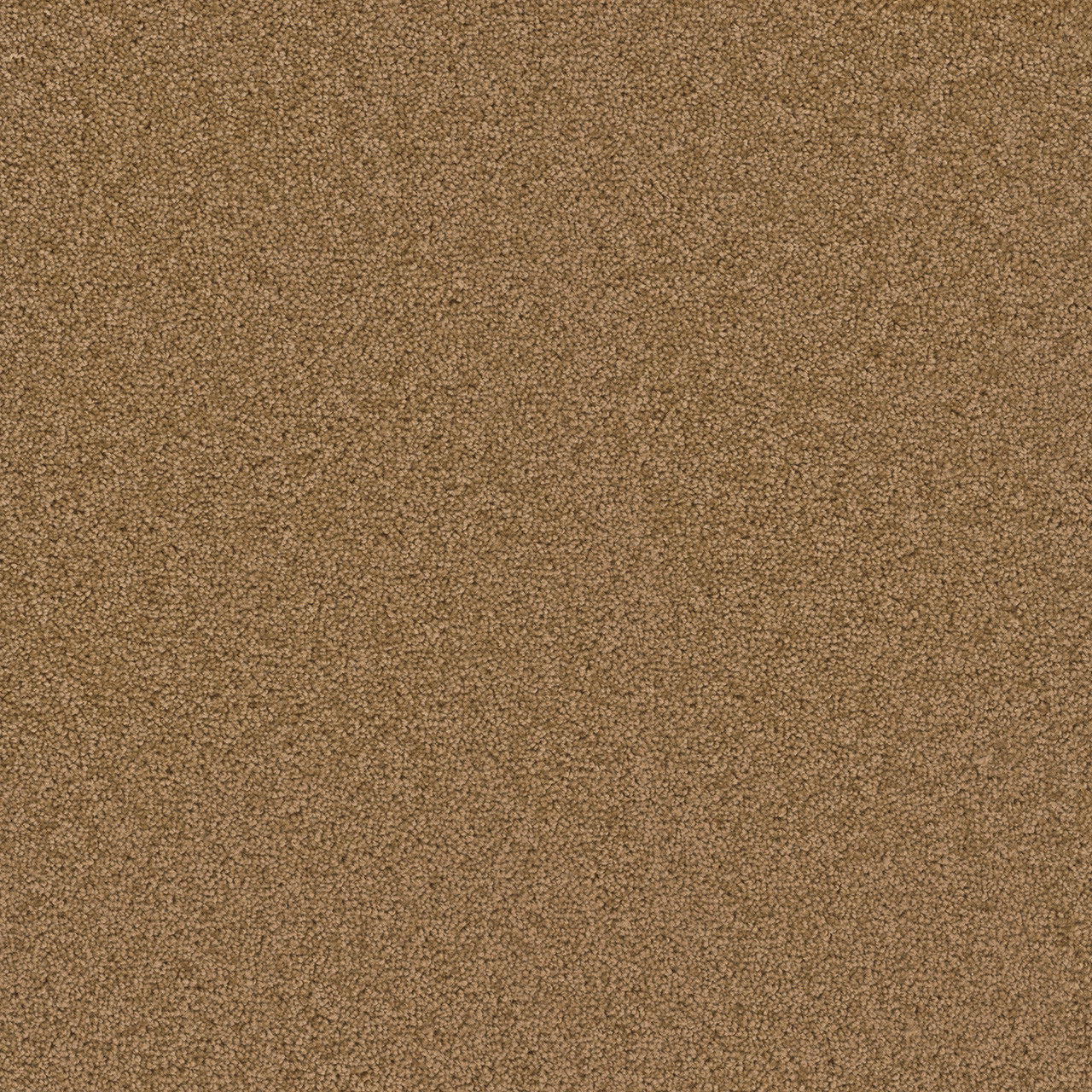 Dreamweaver Carpet Cedar Creek Honey Beige Carpet 2030_510