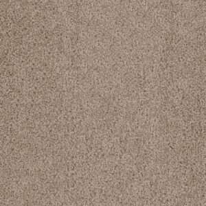Dreamweaver Carpet Cedar Creek Doeskin Carpet 2030_530
