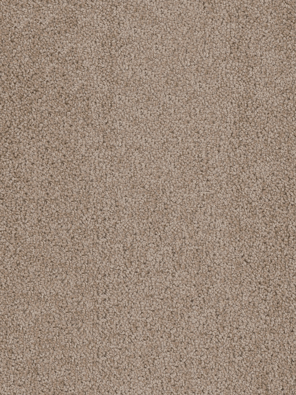 Dreamweaver Carpet Cedar Creek Doeskin Carpet 2030_530