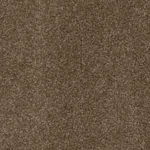 Dreamweaver Carpet Cedar Creek Black Walnut Carpet 2030_540
