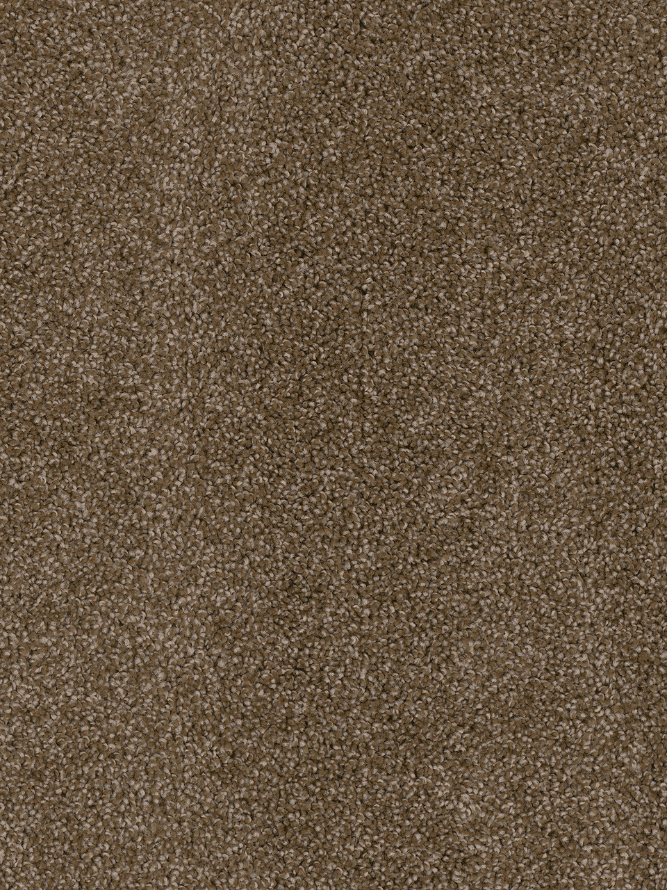 Dreamweaver Carpet Cedar Creek Black Walnut Carpet 2030_540