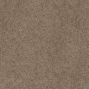 Dreamweaver Carpet Cedar Creek Taupe Carpet 2030_565