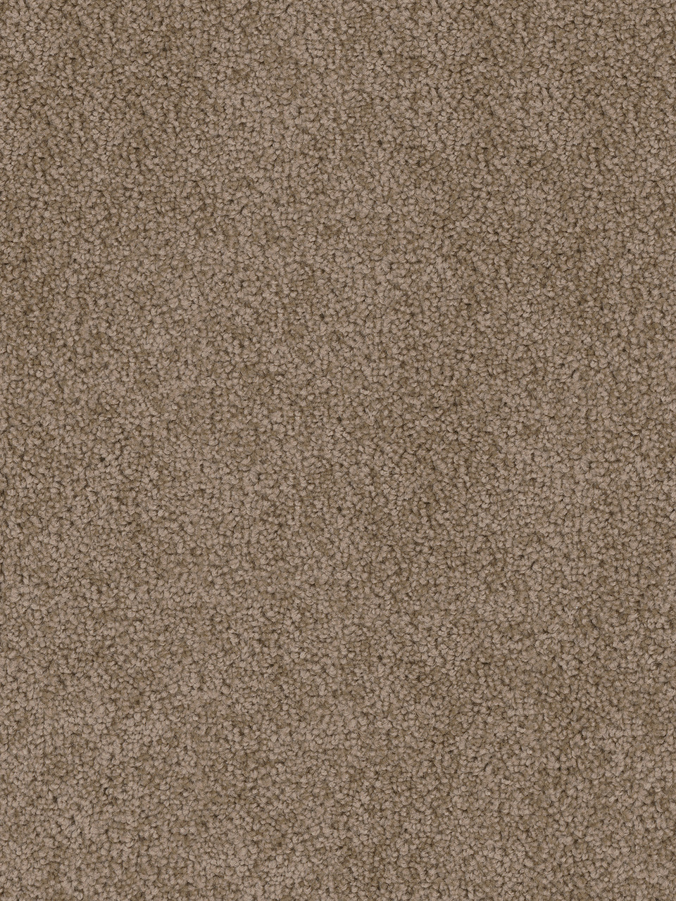 Dreamweaver Carpet Cedar Creek Taupe Carpet 2030_565