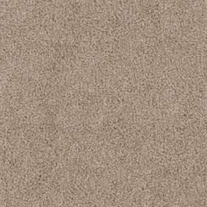 Dreamweaver Carpet Cedar Creek Canyon Cliffs Carpet 2030_571