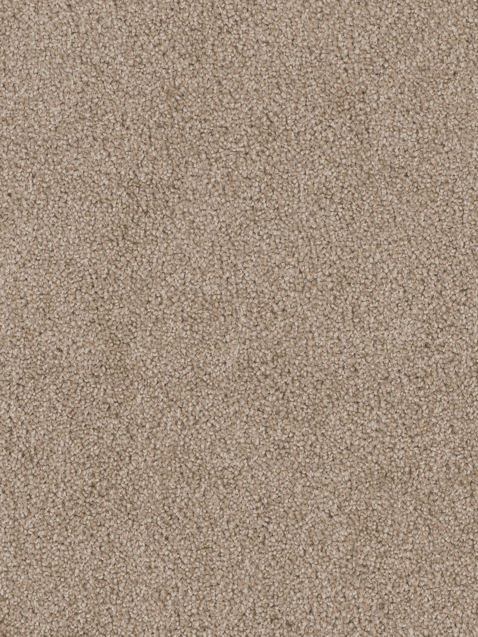 Dreamweaver Carpet Cedar Creek Canyon Cliffs Carpet 2030_571