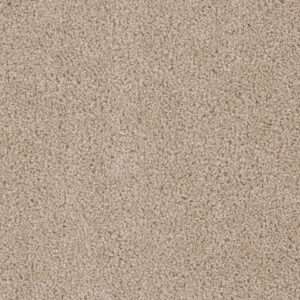 Dreamweaver Carpet Cedar Creek Cashmere Carpet 2030_580