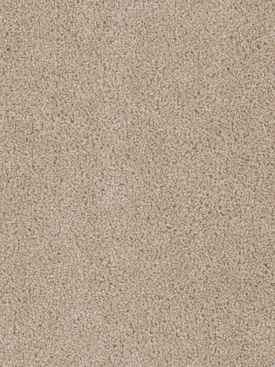 Dreamweaver Carpet Cedar Creek Cashmere Carpet 2030_580
