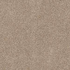 Dreamweaver Carpet Cedar Creek Sawgrass Carpet 2030_701