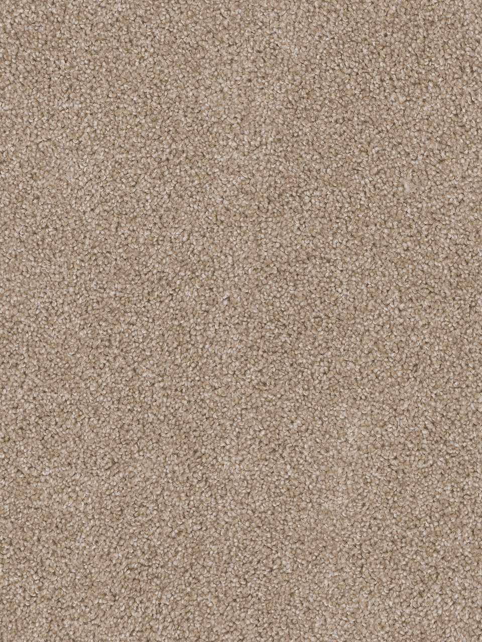 Dreamweaver Carpet Cedar Creek Sawgrass Carpet 2030_701