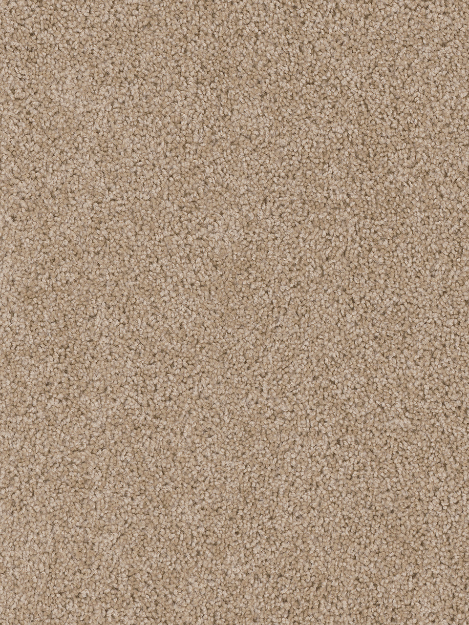 Dreamweaver Carpet Cedar Creek Camel Carpet 2030_710
