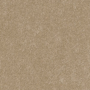 Dreamweaver Carpet Cedar Creek Buff Carpet 2030_720