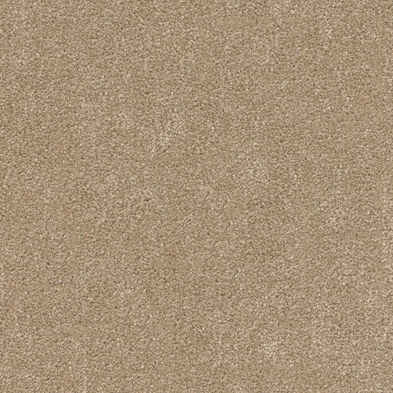 Dreamweaver Carpet Cedar Creek Buff Carpet 2030_720