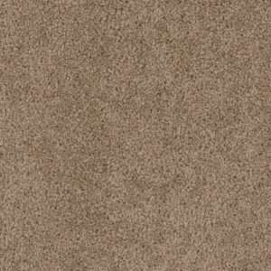 Dreamweaver Carpet Cedar Creek Dove Carpet 2030_725