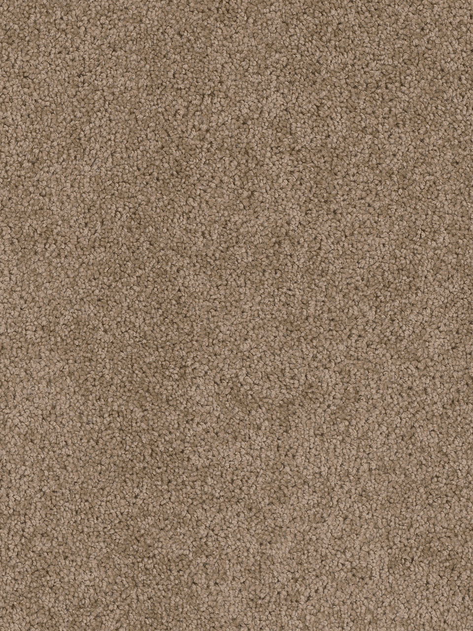 Dreamweaver Carpet Cedar Creek Dove Carpet 2030_725