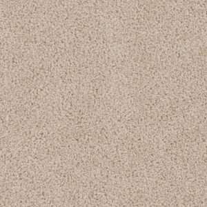Dreamweaver Carpet Cedar Creek Eggshell Carpet 2030_730