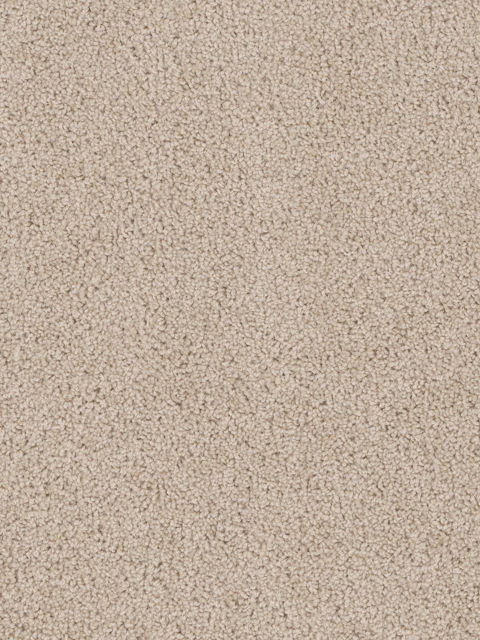 Dreamweaver Carpet Cedar Creek Eggshell Carpet 2030_730