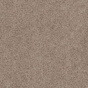 Dreamweaver Carpet Cedar Creek Ash Carpet 2030_775