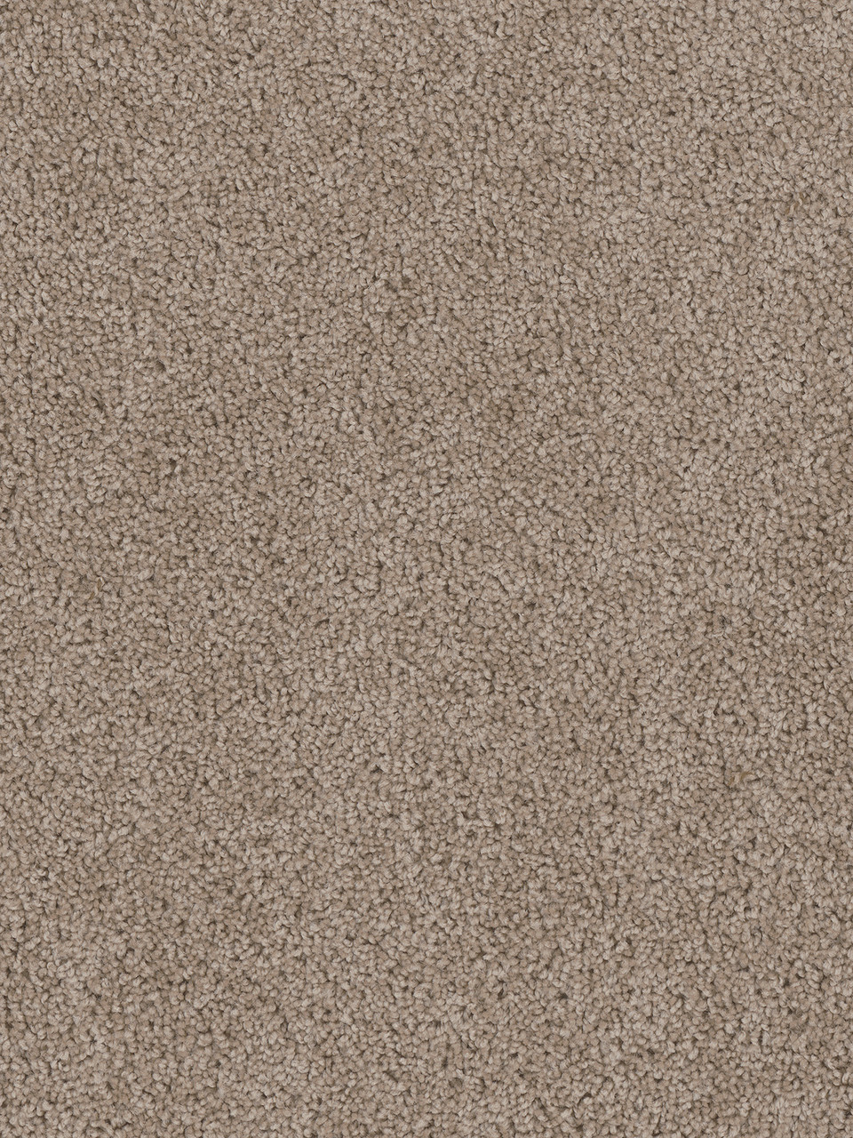 Dreamweaver Carpet Cedar Creek Ash Carpet 2030_775