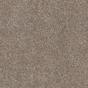 Dreamweaver Carpet Cedar Creek Harbor Carpet 2030_792