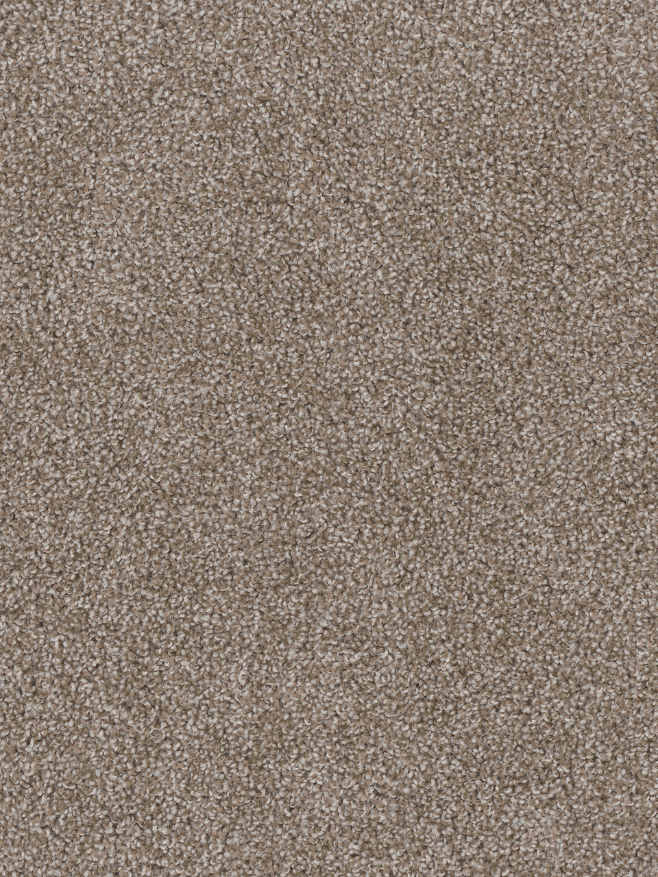 Dreamweaver Carpet Cedar Creek Harbor Carpet 2030_792