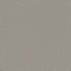 Dreamweaver Carpet Cedar Creek Silver Birch Carpet 2030_800