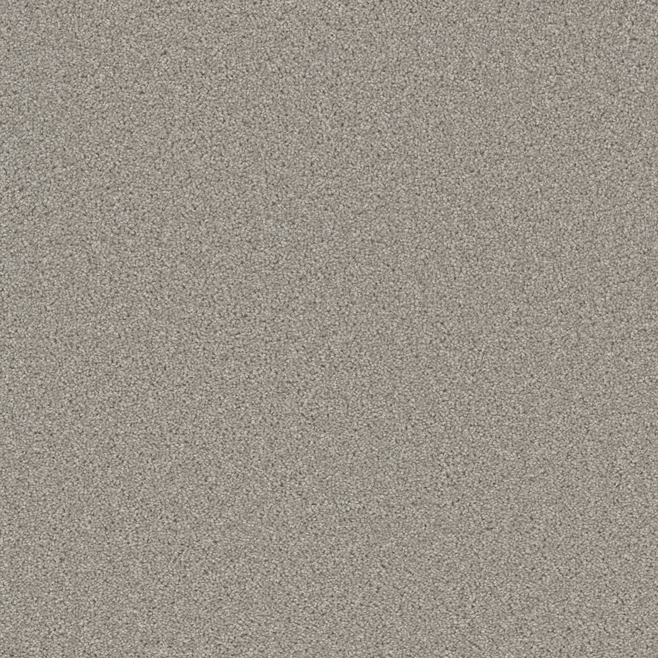 Dreamweaver Carpet Cedar Creek Silver Birch Carpet 2030_800