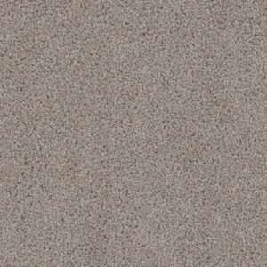 Dreamweaver Carpet Cedar Creek Castle Carpet 2030_945