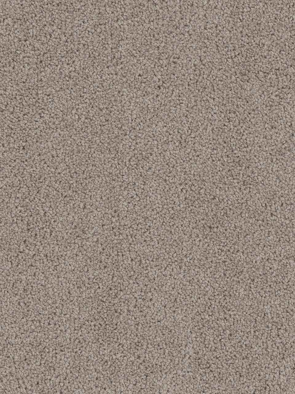 Dreamweaver Carpet Cedar Creek Castle Carpet 2030_945