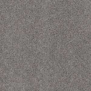 Dreamweaver Carpet Cedar Creek Bayside Carpet 2030_956