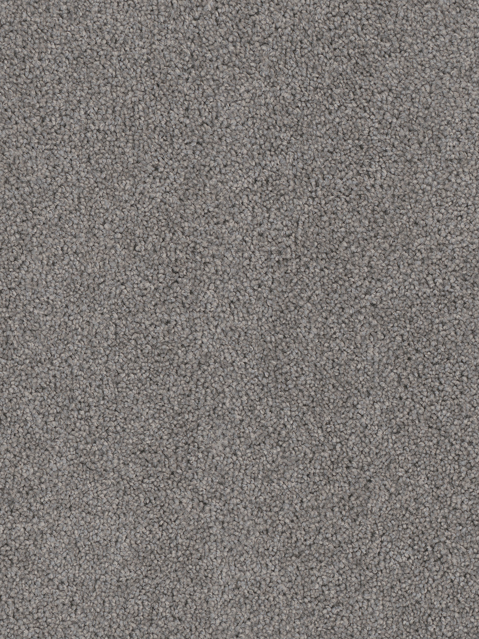 Dreamweaver Carpet Cedar Creek Bayside Carpet 2030_956