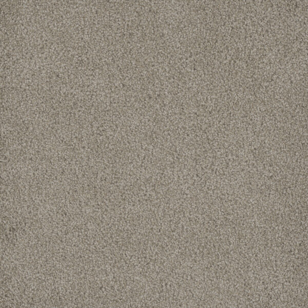Dreamweaver Carpet Hammond Creek I Cameo Carpet 2032_174