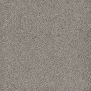 Dreamweaver Carpet Hammond Creek I Clam Shell Carpet 2032_182