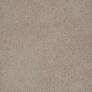 Dreamweaver Carpet Hammond Creek I Oak Bay Carpet 2032_349