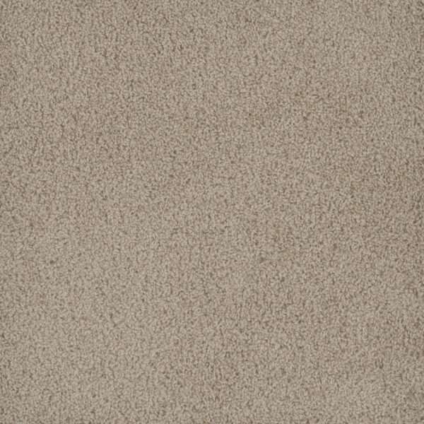 Dreamweaver Carpet Hammond Creek I Oak Bay Carpet 2032_349