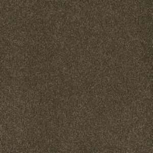 Dreamweaver Carpet Hammond Creek I Black Walnut Carpet 2032_540