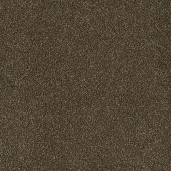 Dreamweaver Carpet Hammond Creek I Black Walnut Carpet 2032_540