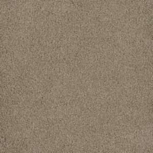 Dreamweaver Carpet Hammond Creek I Sawgrass Carpet 2032_701