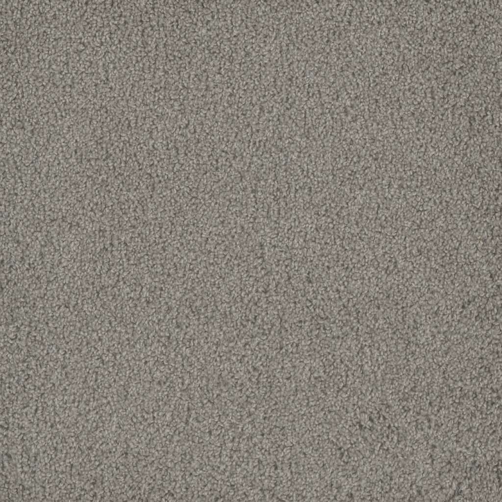 Shop Dreamweaver Carpet Hammond Creek I Silver Birch Carpet 2032_800
