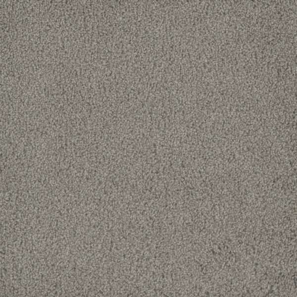 Dreamweaver Carpet Hammond Creek I Silver Birch Carpet 2032_800
