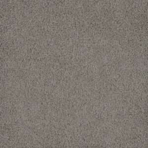 Dreamweaver Carpet Hammond Creek I Chrome Carpet 2032_927