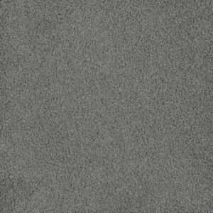 Dreamweaver Carpet Hammond Creek I Stellar Carpet 2032_938