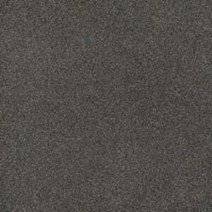 Dreamweaver Carpet Hammond Creek I Electron Carpet 2032_972