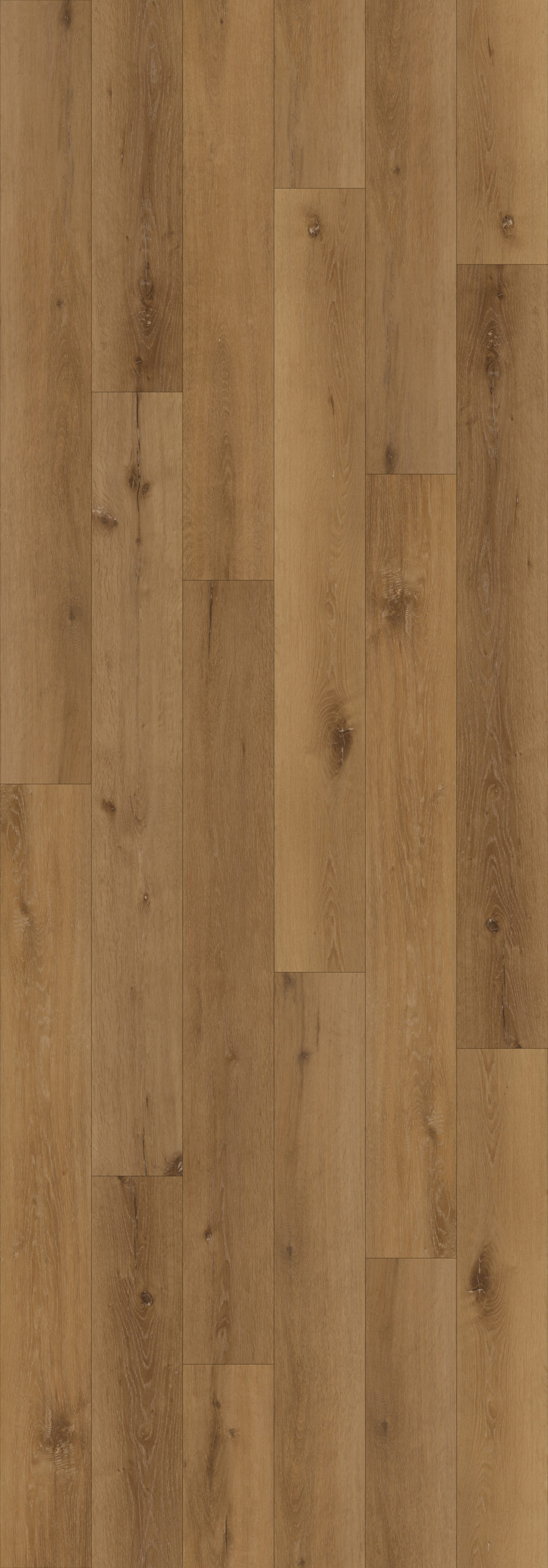 AxisCor XLS Axis PRO7 Twin Bridges 7" 22622